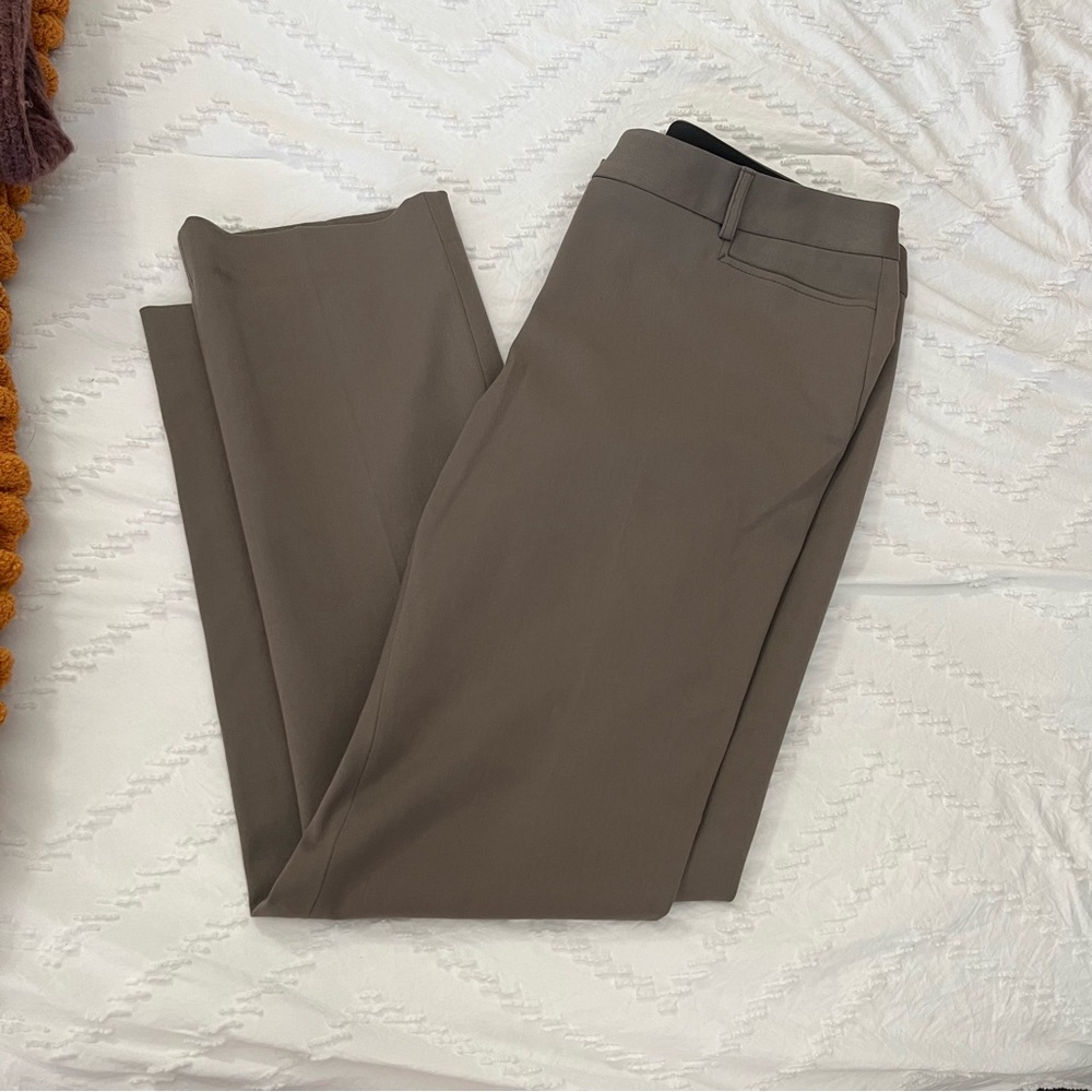 Express Columnist Pants
